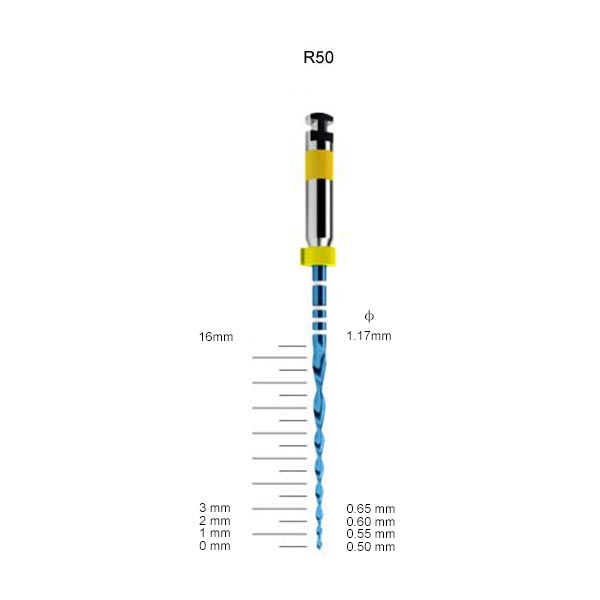 Rotary V-blauwe vliegen
   