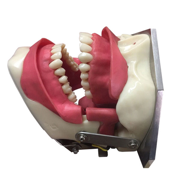 dental surgery microscope  03