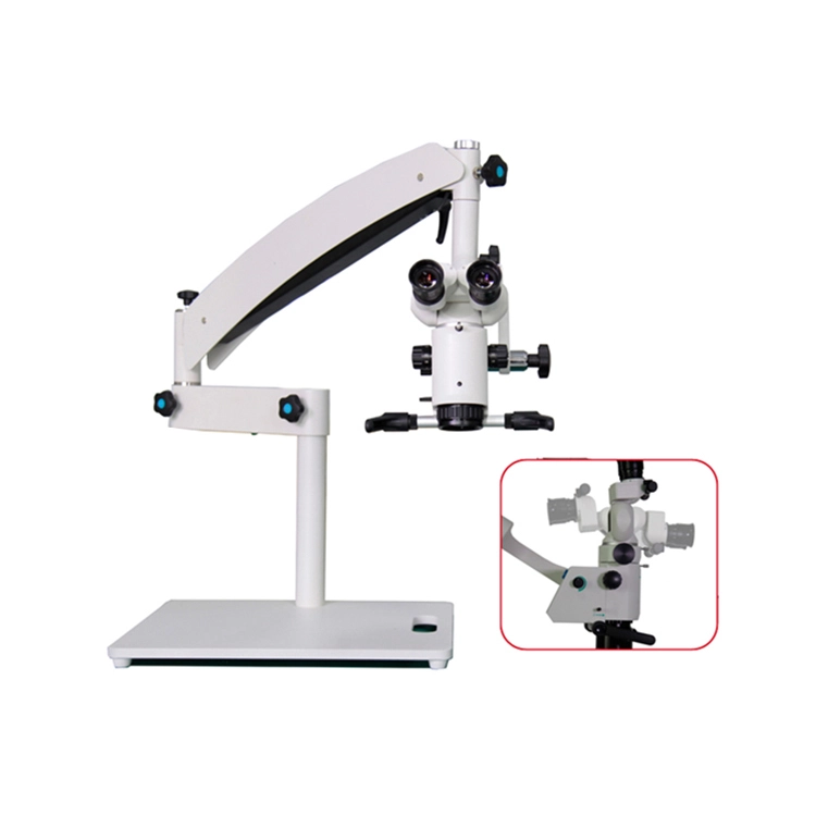 training microscope  tme 06