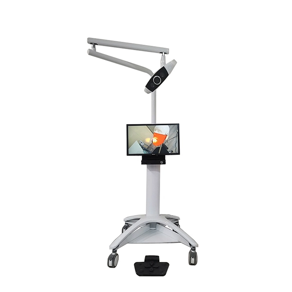 Stamotology Teaching System